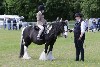 thornton-le-dale-gala showclass7acharity25-5-20011